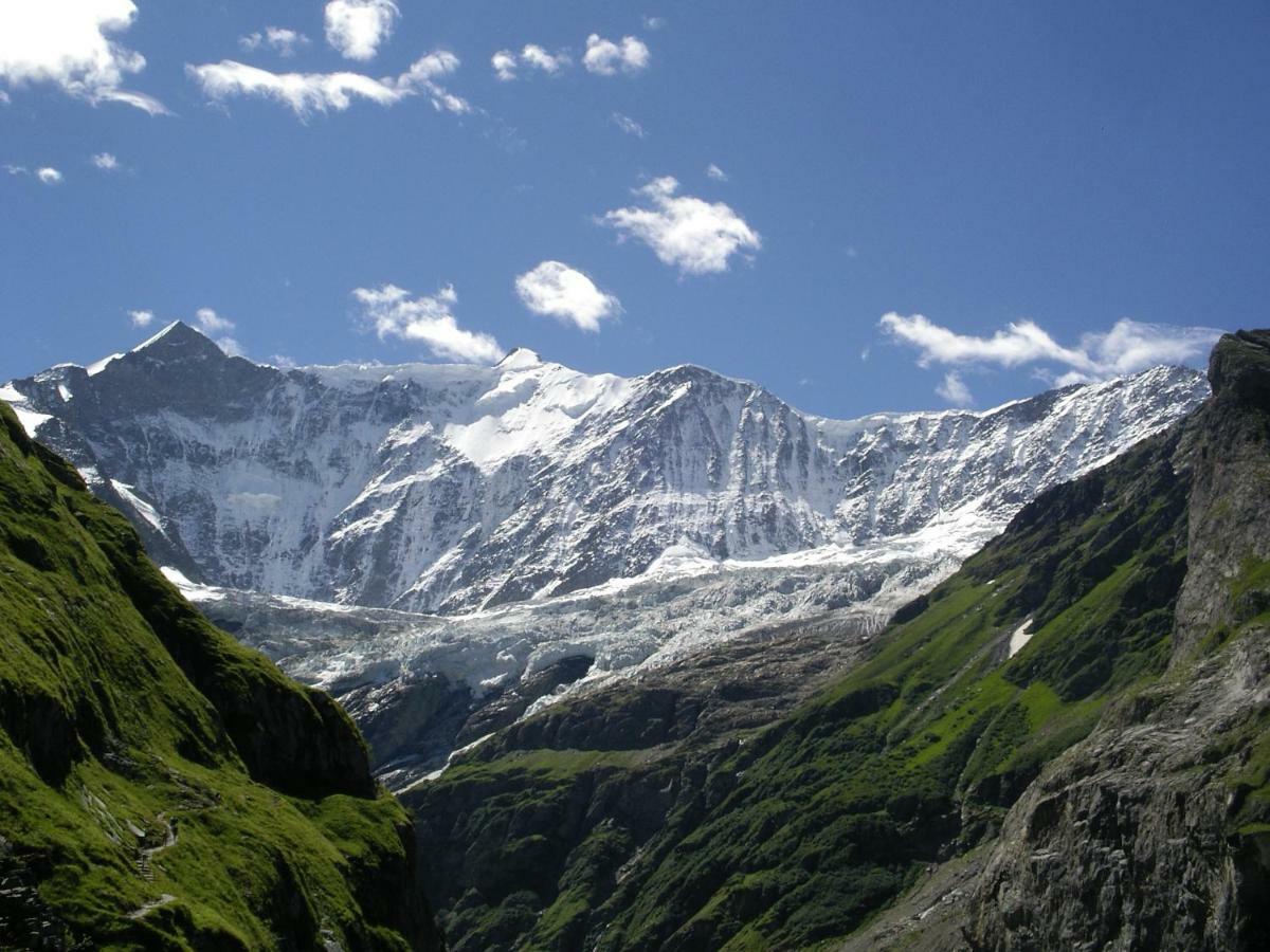 Chalet Verbrunnenhaus Grindelwald Eksteriør bilde
