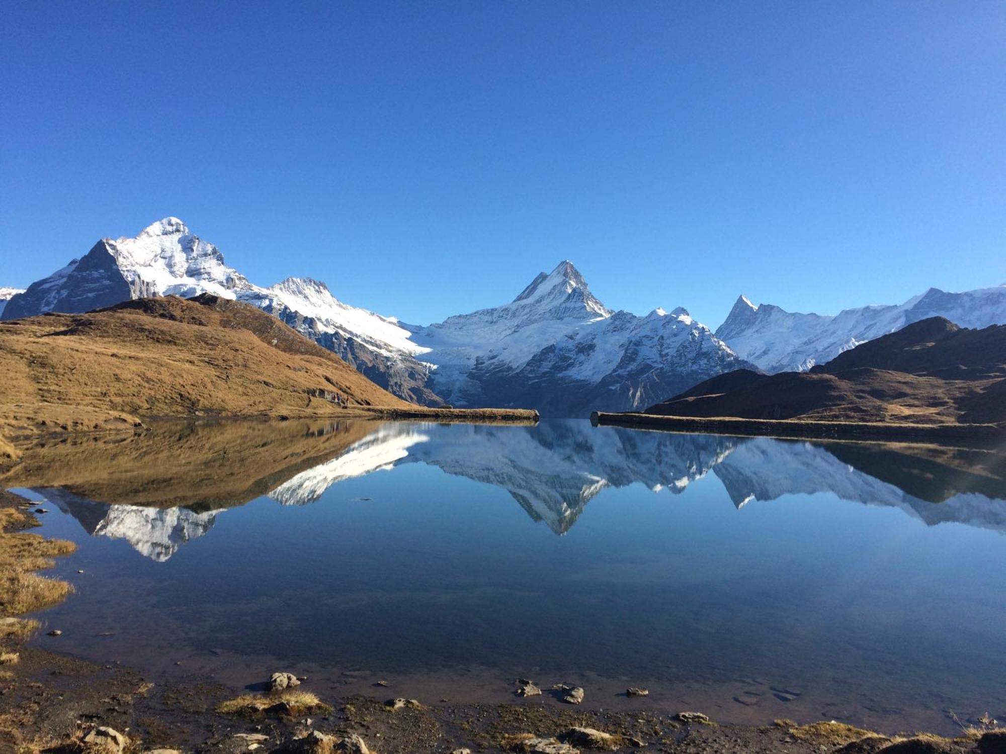 Chalet Verbrunnenhaus Grindelwald Eksteriør bilde