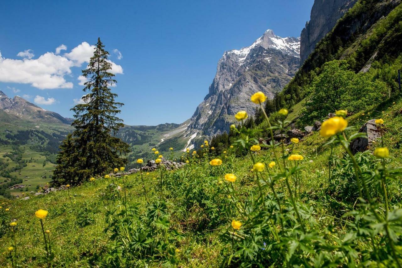 Chalet Verbrunnenhaus Grindelwald Eksteriør bilde