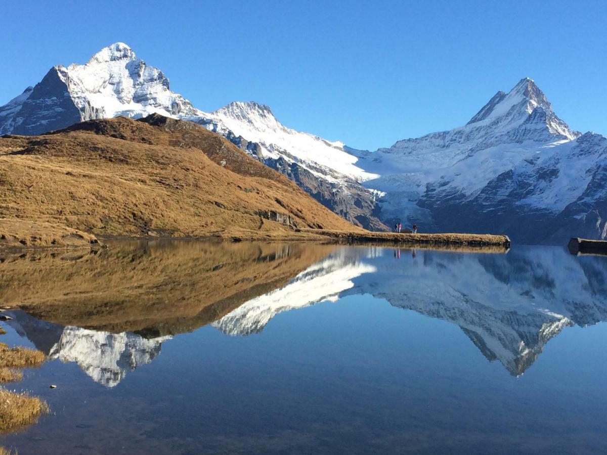 Chalet Verbrunnenhaus Grindelwald Eksteriør bilde